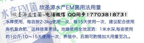 刚榨的菜籽饼可以直接喂鱼吗