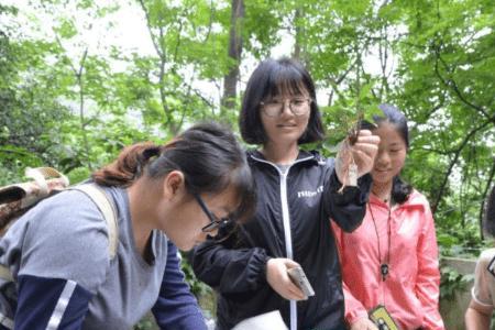 大学是不是不挂科就行，给毕业证