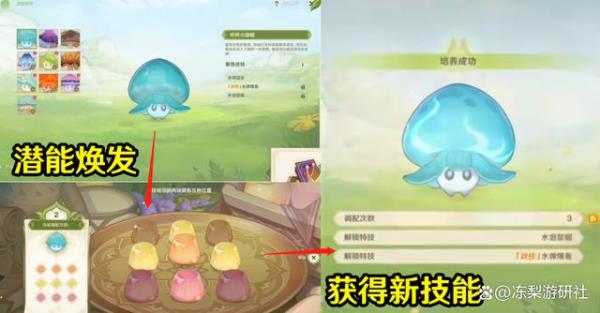 意智宝珠模型有什么用