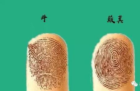 一个角一个斗读啥