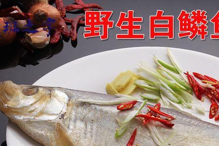咸白鳞鱼为什么是臭的