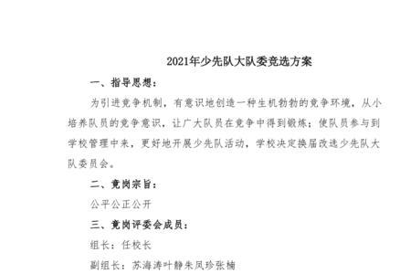 少先队大队委流程