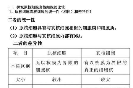 原核和真核的原真