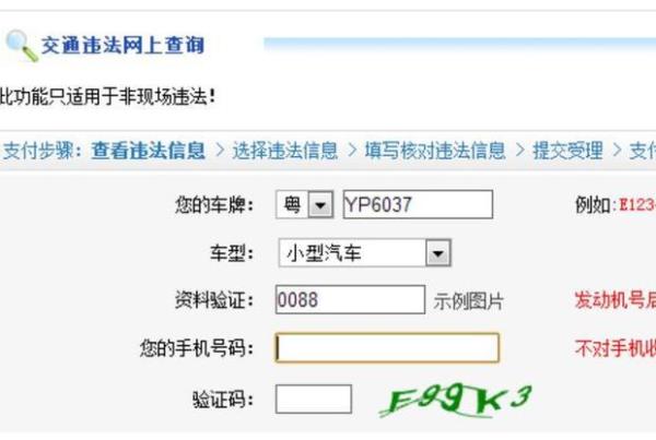 可以通过车牌找到保险单号吗
