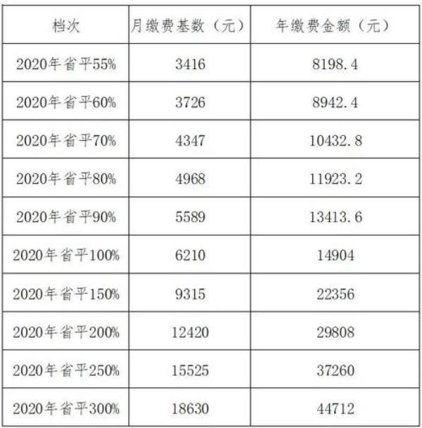 2022年四川灵活就业医疗缴费标准