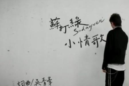 小情歌歌词表达的意思