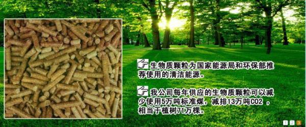 燃料是什么制成的