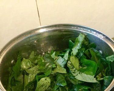 甘肃烙饼放的绿色香料是什么