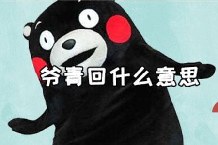 演砸了是什么意思网络用语