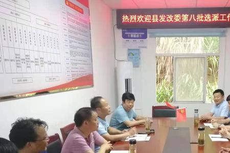 选派年轻干部到乡镇任职的利弊