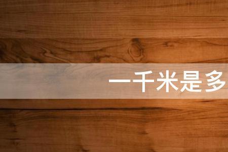 50千米是多少公里