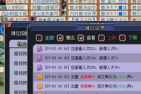梦幻西游藏宝阁保护期72小时