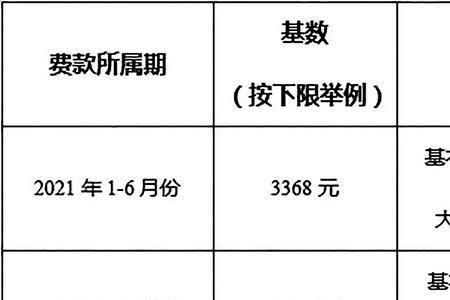 职工医保基数什么意思