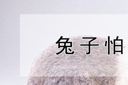 长毛兔抗冷吗