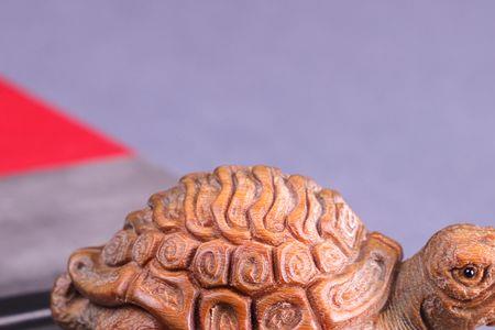 木雕水龟好养吗