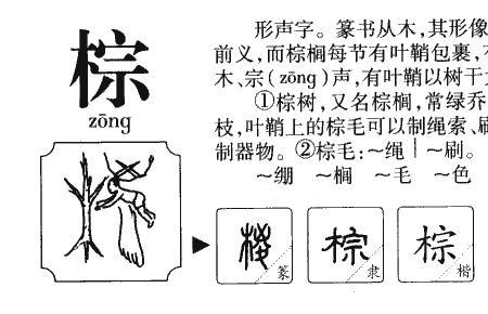 棕能分几个字
