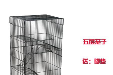 蜜袋鼯笼子罩要多长