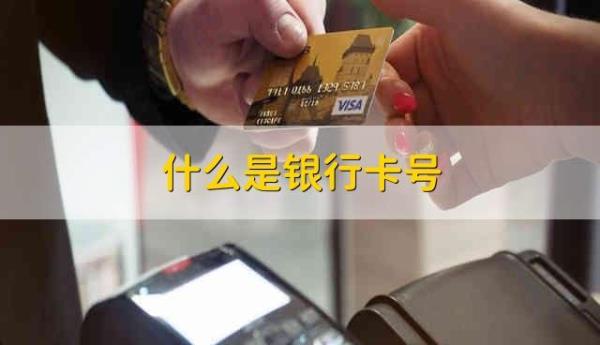 什么是储蓄卡号