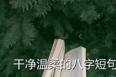 无心风月钟情自己下句
