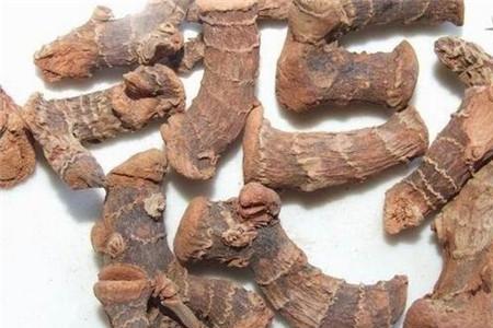 怎么分辨大牙姜