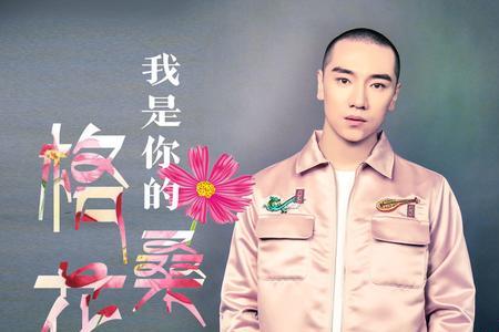 我是你的格桑花歌词王琪