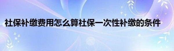 补缴社保滞纳金个人承担多少