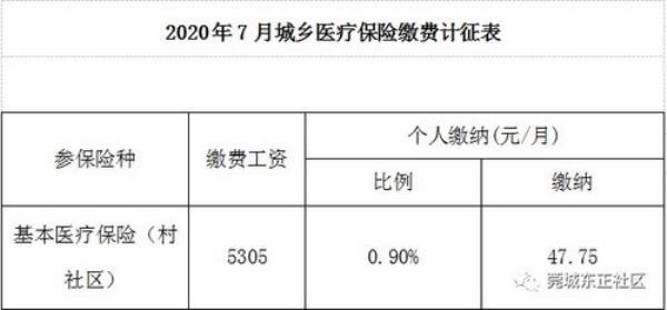 职工医保单位缴纳部分怎么查看