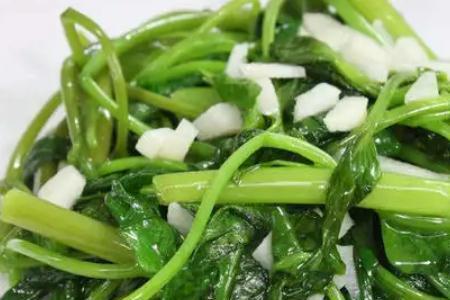 通菜是什么菜
