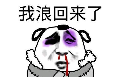 接旨最有趣的回复