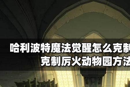 哈利波特魔法觉醒厉火好抽吗