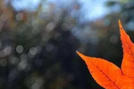 人生无常，心要如常是什么意思