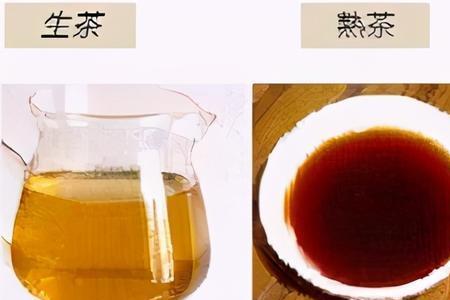 普洱茶的五个基本知识
