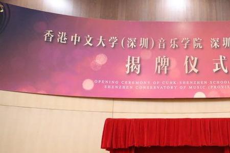 2020深圳音乐学院学费