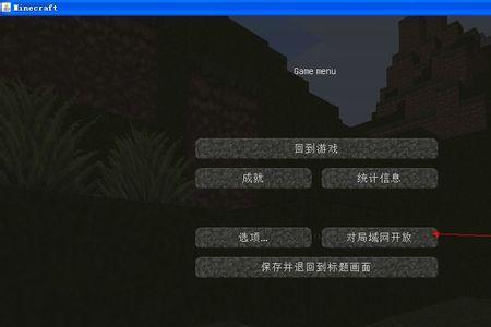 为什么我的世界国际版不能联机