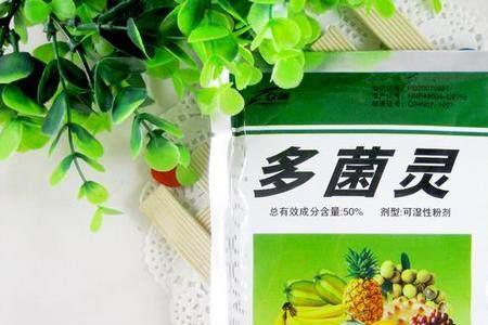 喷菜虫药后多久浇水