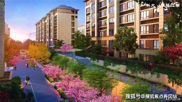 容积率20是什么概念