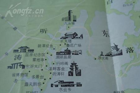 东胡分为哪两支