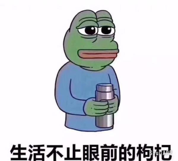 雷神sealstar轮胎怎么样