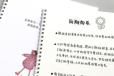 牛奶字体和奶酪字体的区别