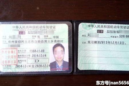 交警队可以换驾驶证