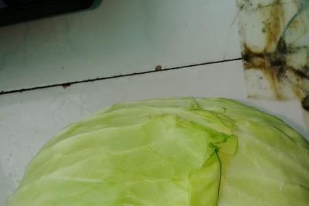 泡莲花白怎么泡的呀
