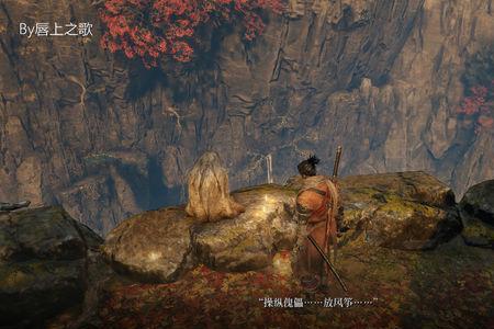 只狼怎么交谈