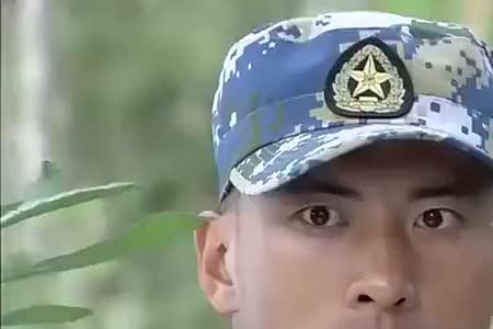 蒋小鱼与沈参谋最后在一起了吗