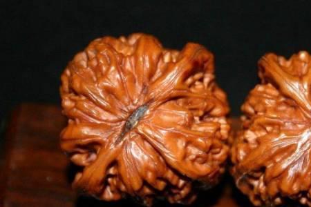 文玩核桃重量排行