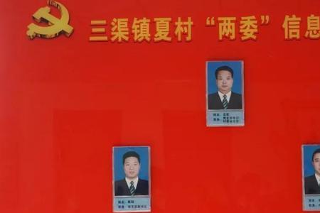 村两委可以担任一村一警吗