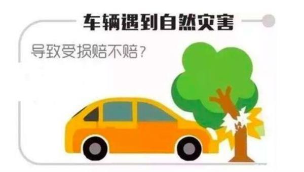 给了首付买了保险还能退车吗