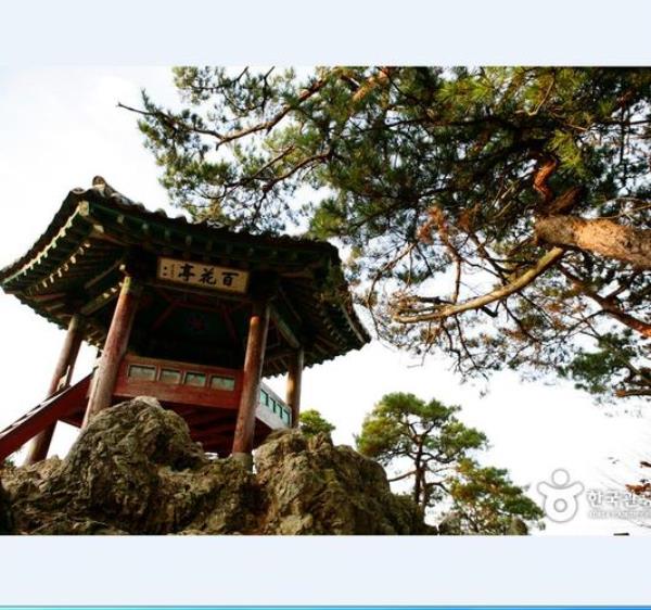 青山有扶苏什么意思