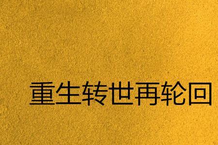 轮回的意思