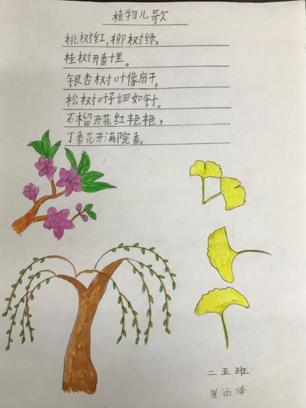 仿写树之歌写四种树木