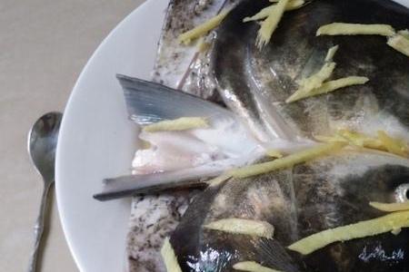 鱼头下的嫩肉叫什么